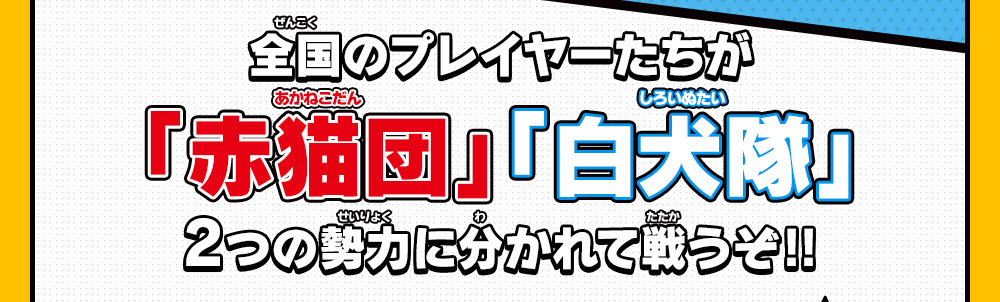 全国のプレイヤーたちが「赤猫団」「白犬隊」2つの勢力に分かれて戦うぞ!!