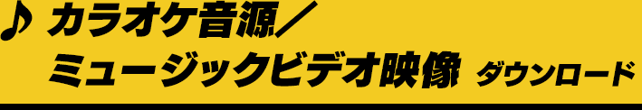 カラオケ音源／ミュージックビデオ映像 ダウンロード