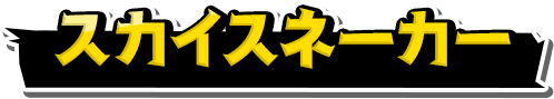 スカイスネーカー