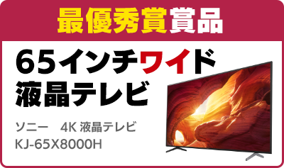 最優秀賞賞品 65インチワイド液晶テレビ ソニー 4K液晶テレビ KJ-65X8000H