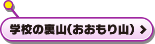 学校の裏山(おおもり山)