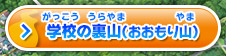 学校の裏山（おおもり山）