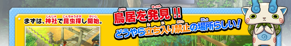 まずは､神社で昆虫探し開始｡鳥居を発見!!
どうやら立ち入り禁止の場所らしい!