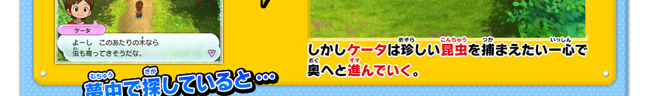 夢中で探していると…しかしケータは珍しい昆虫を捕まえたい一心で
奥へと進んでいく｡